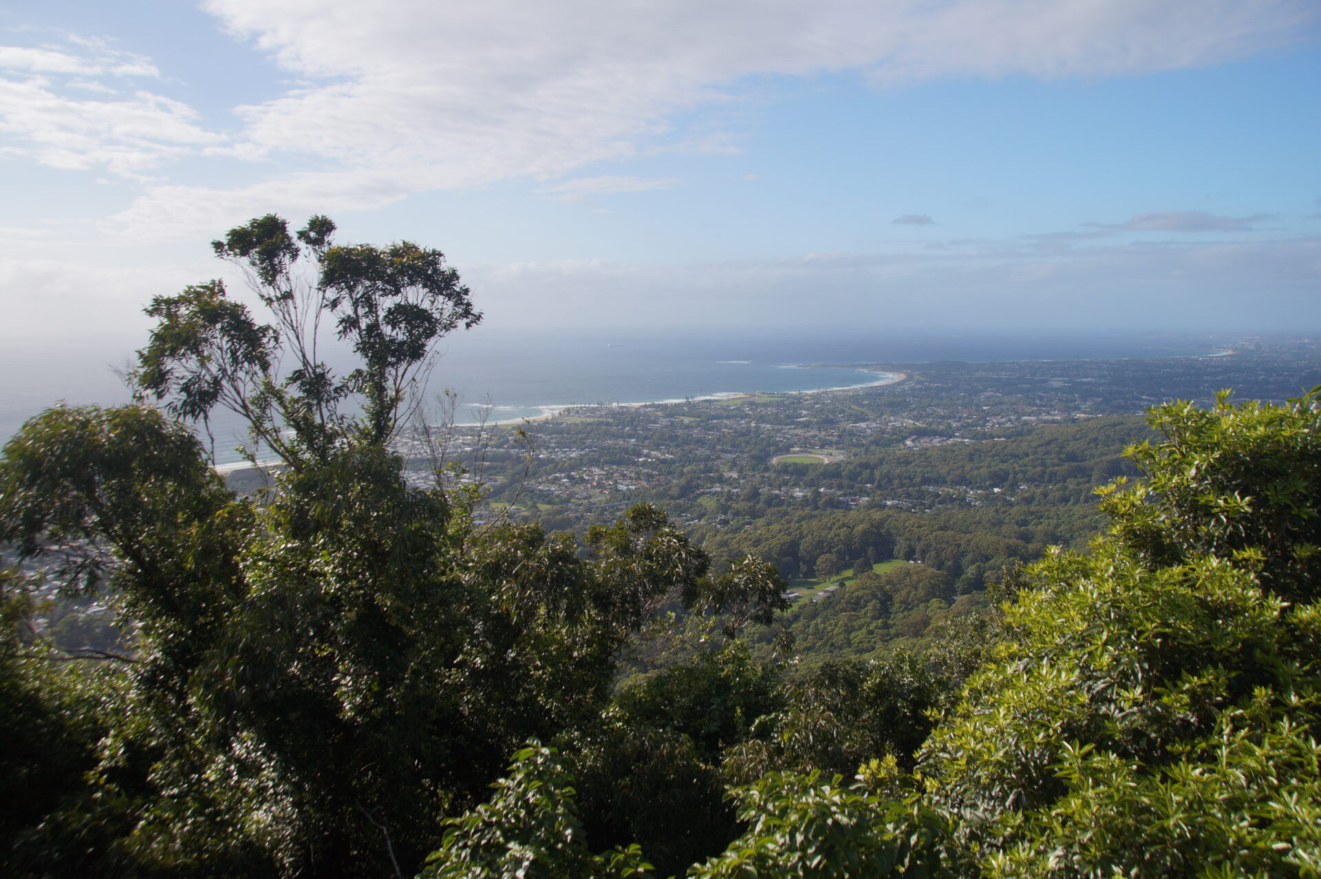 Bulli Lookout