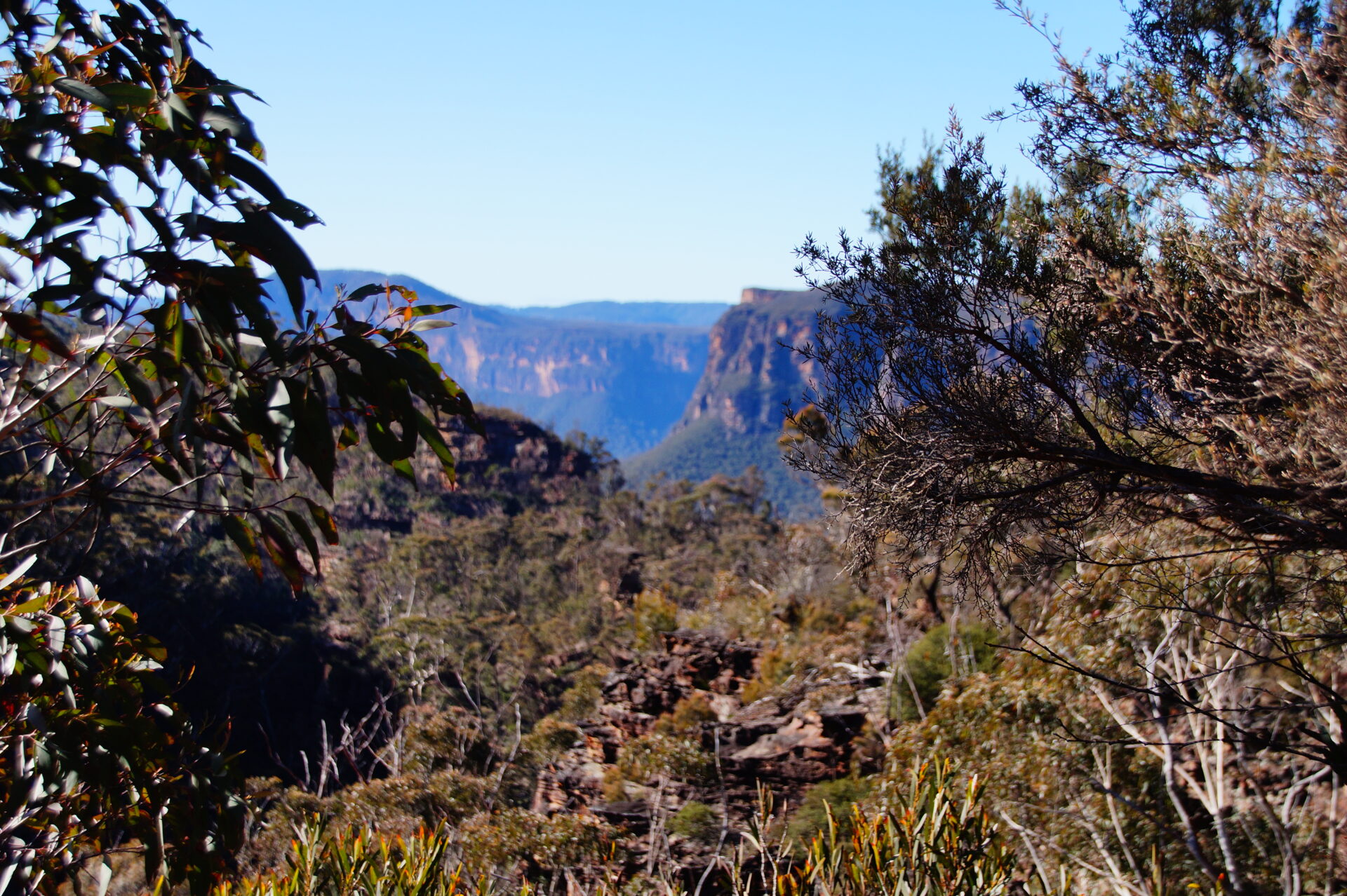 Featured image of post Vom Pech verfolgt: Der Grand Canyon Walk