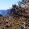 Vom Pech verfolgt: Der Grand Canyon Walk