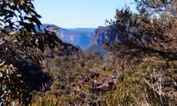 Featured image of post Vom Pech verfolgt: Der Grand Canyon Walk