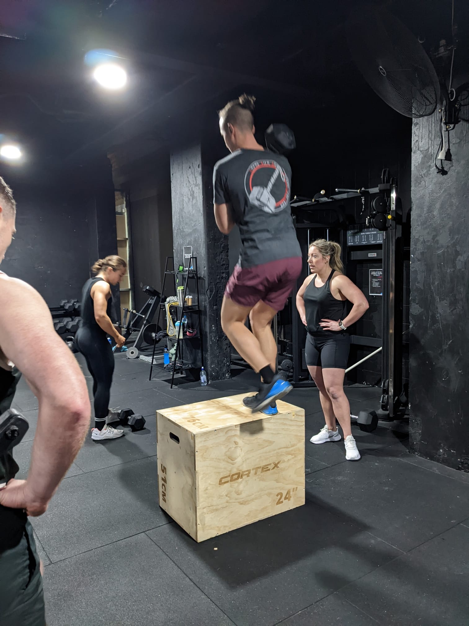 Box Step-ups