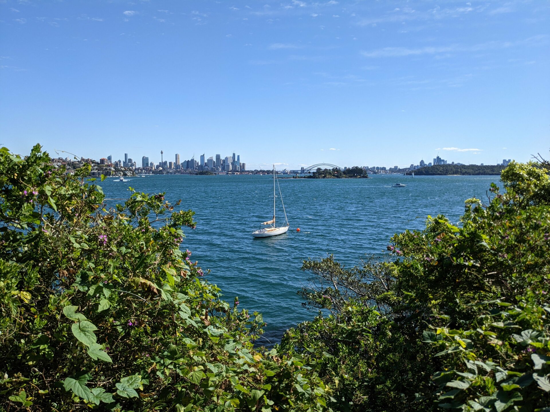 Sydney’s Skyline