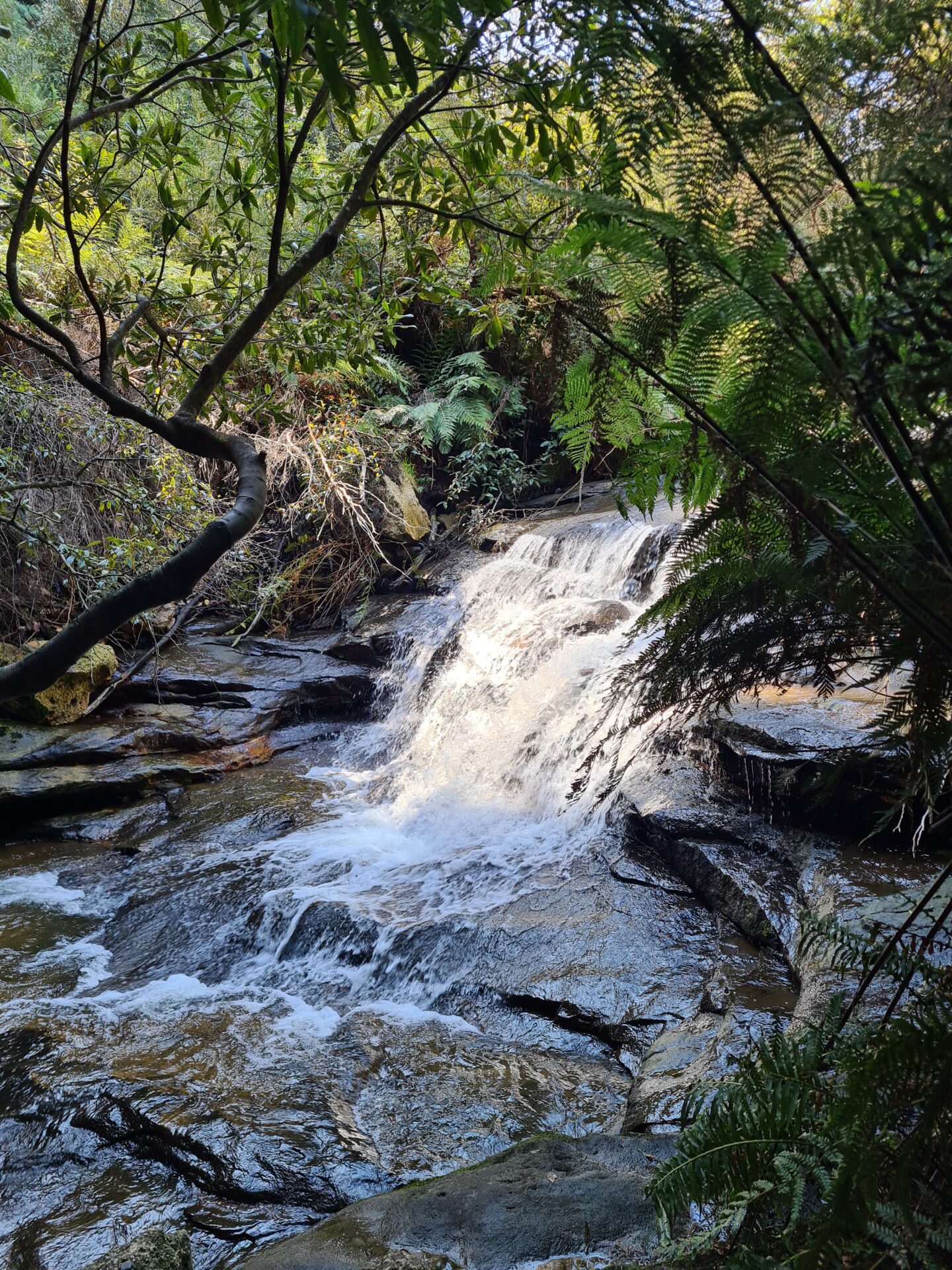 Wasserfall bei Leura