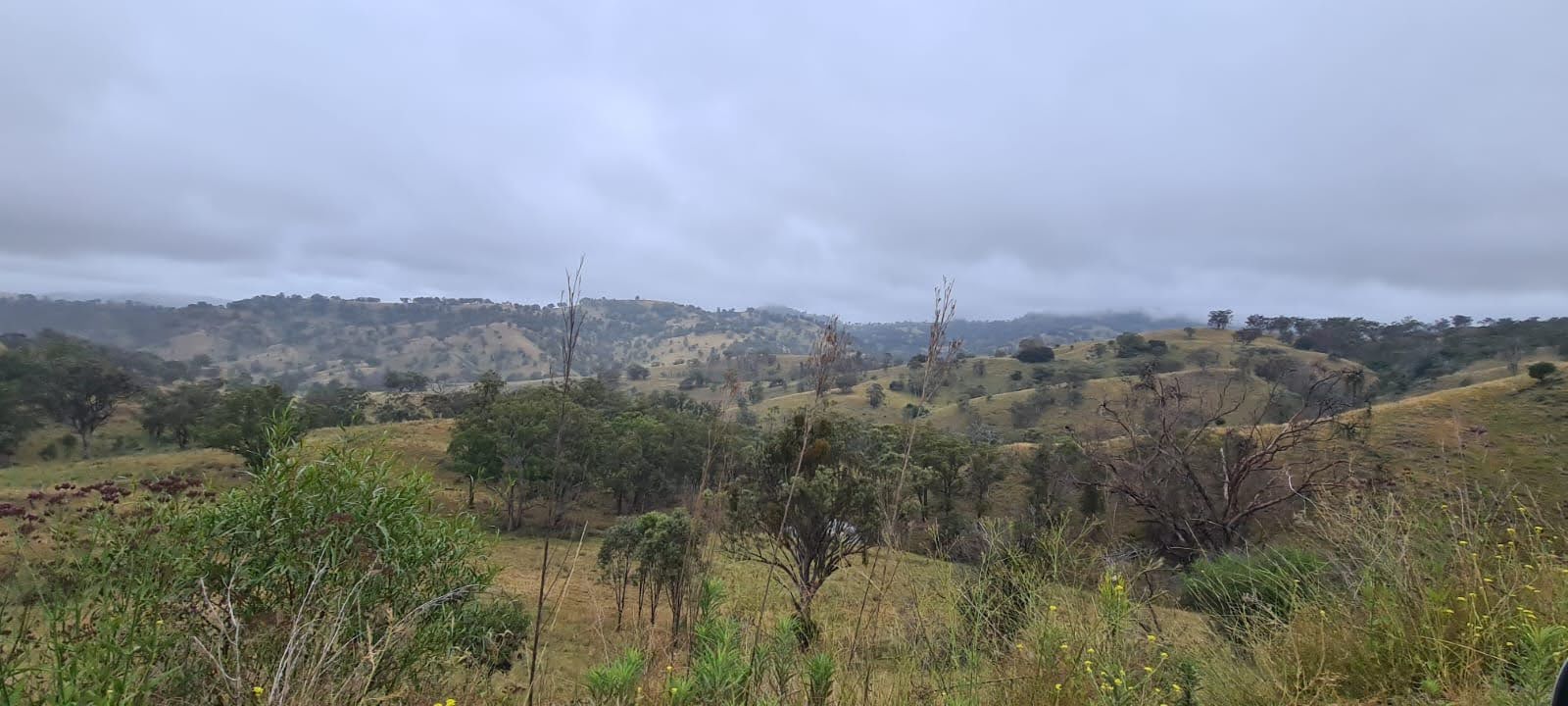 Die Landschaft auf dem Weg zur Arche