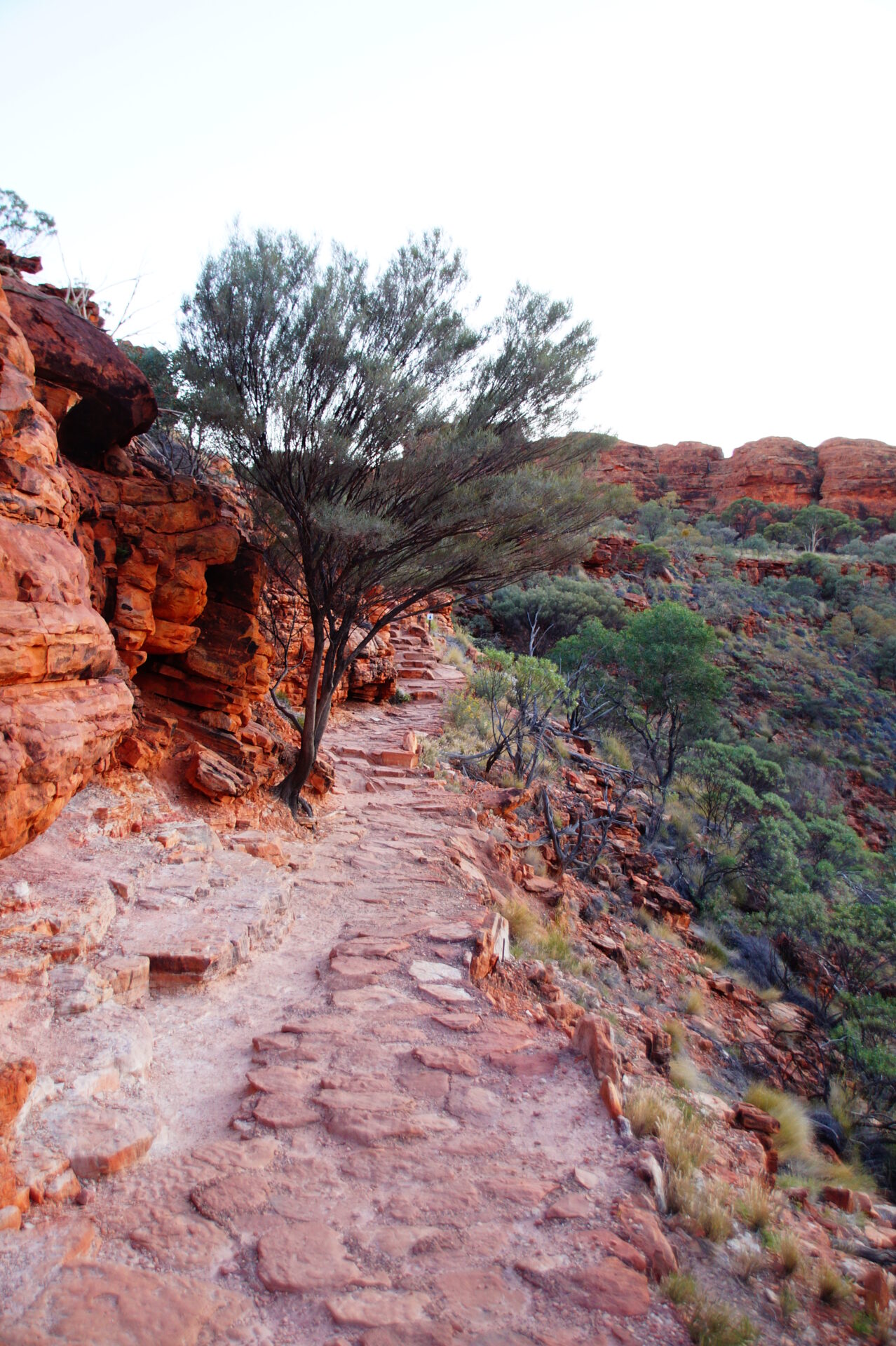 King’s Canyon