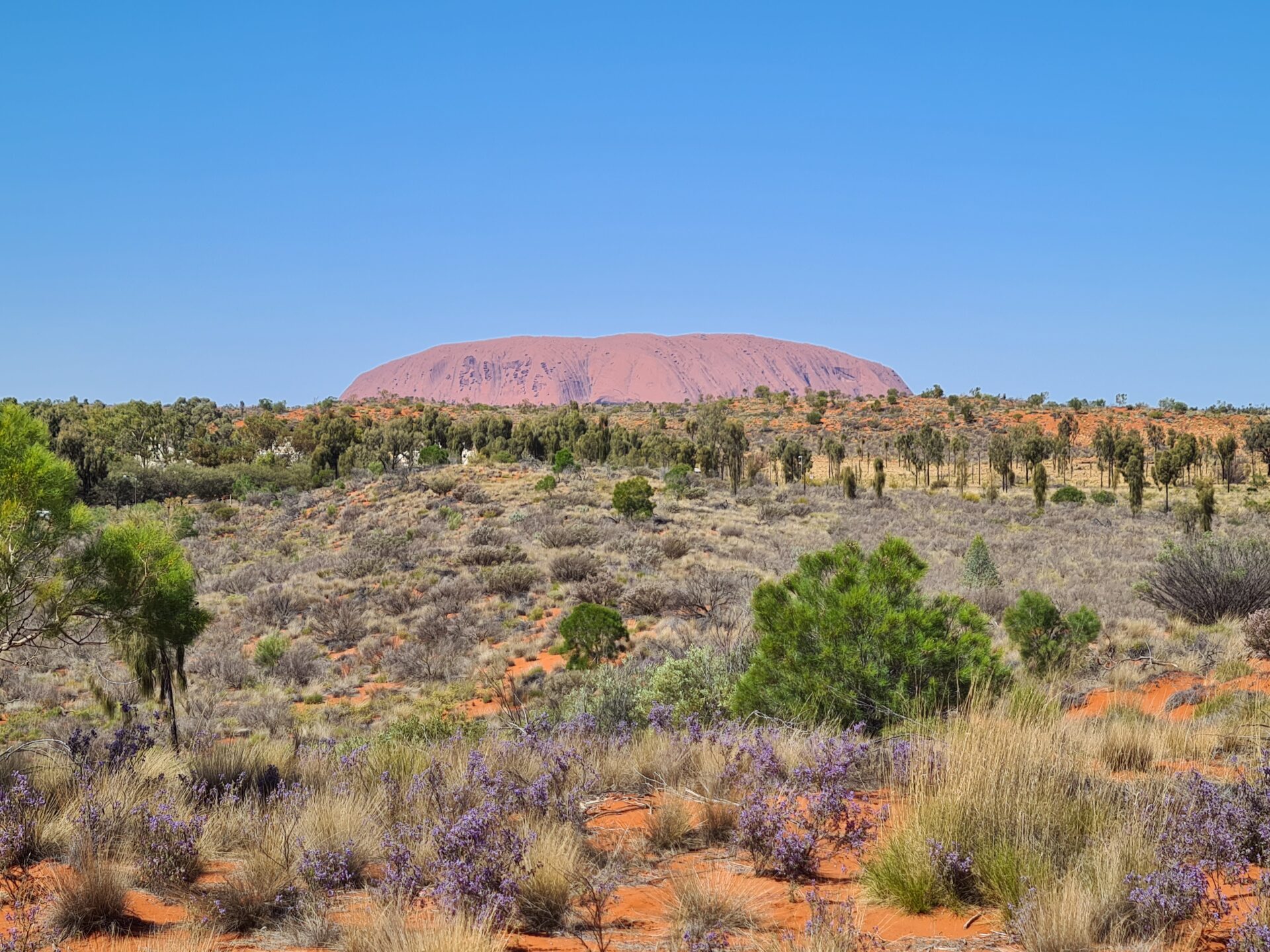 Letzter Blick auf Uluru